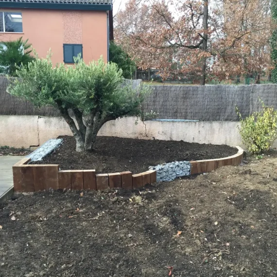 Massif gabion olivier aménagement de jardin