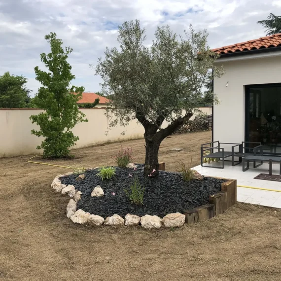 massif surélevé gabion olivier jardin aménagement extérieur jardin Devis pour un jardinier ou paysagiste