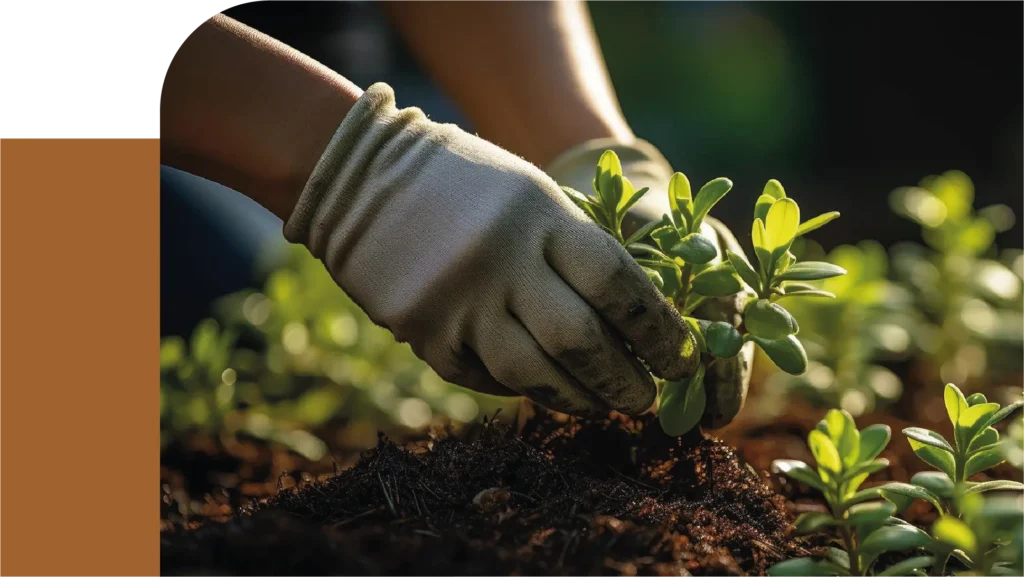 Contacter un jardinier ou paysagiste à Toulouse et ses alentours